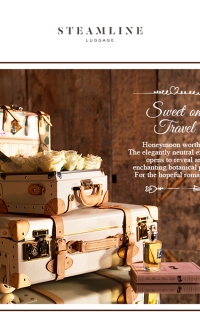 SteamLine Luggage: Sweetheart